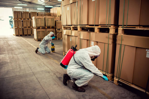 Best Affordable Pest Control Services  in Gibson, AR