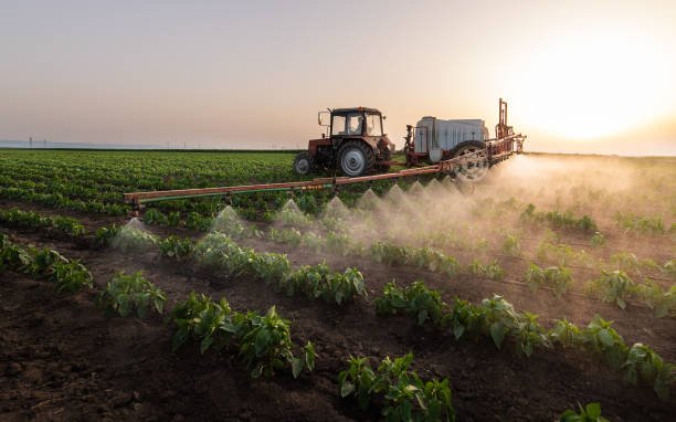 Best Pest Inspection Near Me  in Gibson, AR