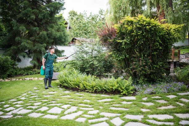 Best Ant Control Services  in Gibson, AR
