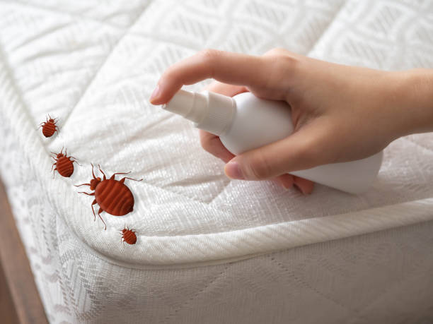 Best Cockroach Control Services  in Gibson, AR