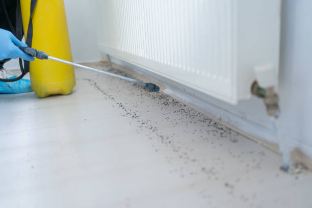 Best Emergency Pest Control  in Gibson, AR