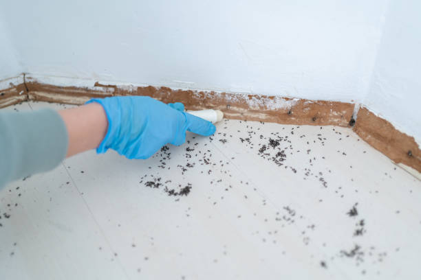 Best Pest Inspection Near Me  in Gibson, AR