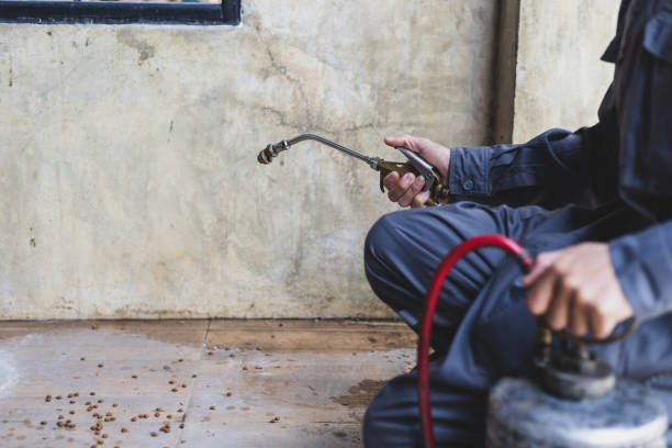Best Pest Control for Businesses  in Gibson, AR